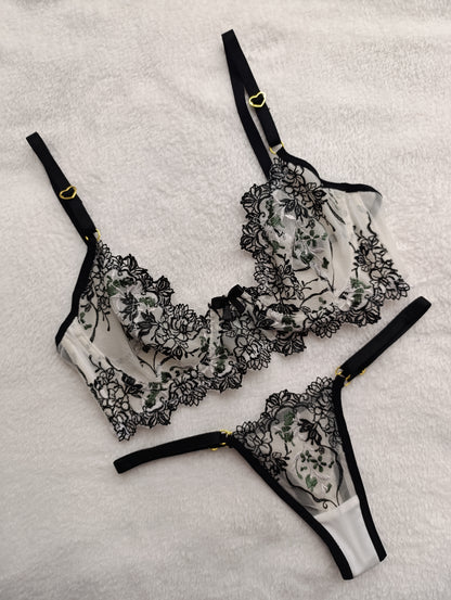 Set Nova