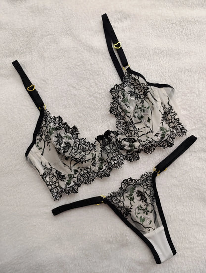 Set Nova